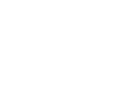paysafecard logo
